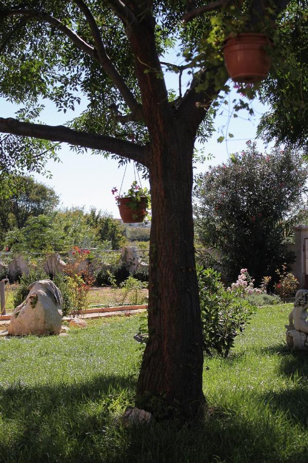 Apartments For Families With Children Privlaka, Zadar - 5747 Εξωτερικό φωτογραφία
